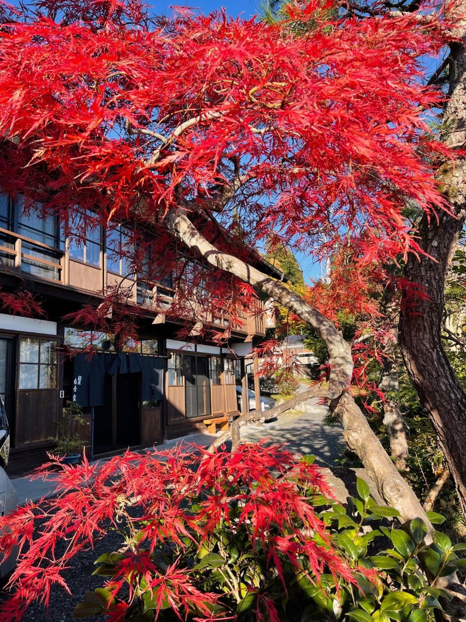 宿屋白金家 Yadoya-Shiroganeya 1日1組限定2名から8名様まで 全館貸切り 伝統的建造物の旅籠宿 Traditional Culture Experience Nagano Eksteriør billede